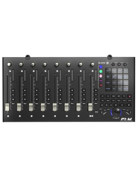 P1-M + D4-T