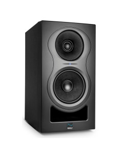 KALI AUDIO - IN-5 - Terre de Son