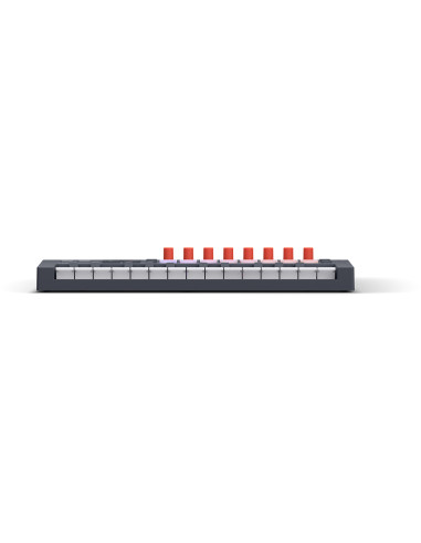 FL KEY MINI 2 - TERRE DE SON