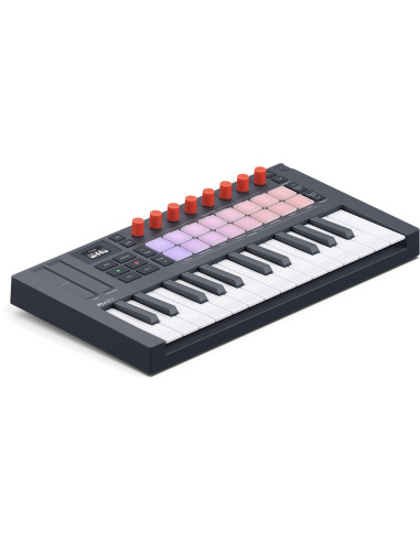 FL KEY MINI 2 - TERRE DE SON