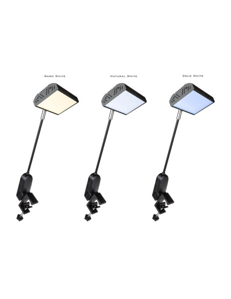 Briteq - BT-BOOTHLITE 35TWD - Terre de Son