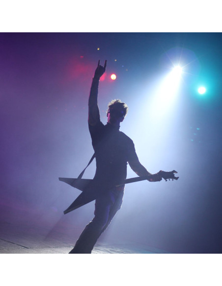 Chauvet - Hurricane Haze 2DX - Terre de Son