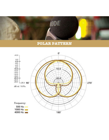 Stereo Video Mic Pro  Rycote