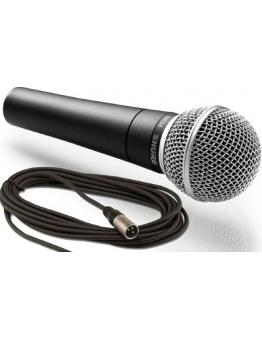 SM58 + Câble XLR