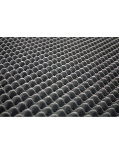 MOUSSE ACOUSTIQUE 200X100X5