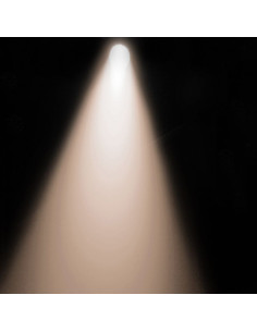 Par56 Cob 100w WW Black 2