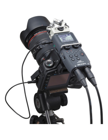 ZOOM H5