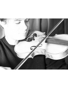 VL21 Lanen Violin & Alto 2