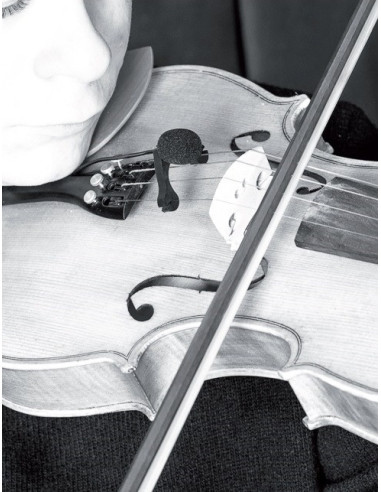 VL21 Lanen Violin & Alto