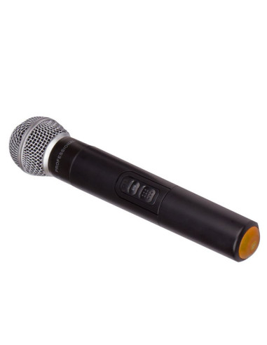 PPA 101
