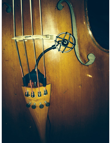  CL21 Lanen Cello