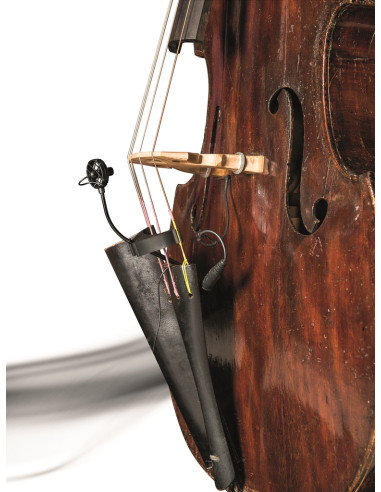  CL21 Lanen Cello