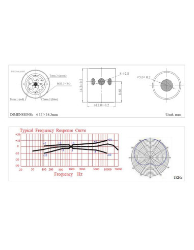 PL21 Salmiéri PERCUSSIONS