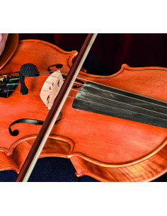 Pack UHF VL21 Violons & Altos 2