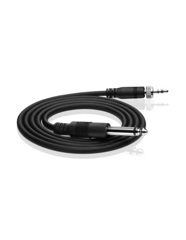 XSW 1-Ci1