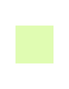 LEE 213 WHITE FLAME GREEN
