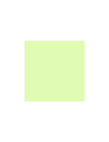 LEE 213 WHITE FLAME GREEN