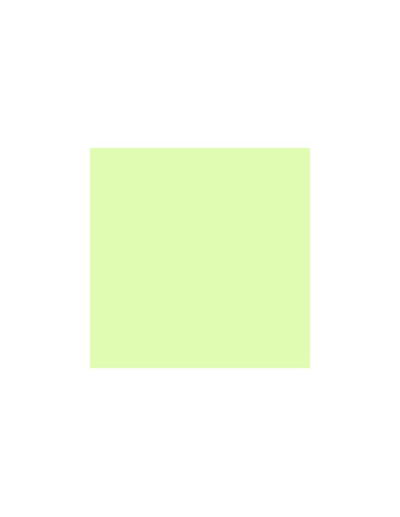 LEE 213 WHITE FLAME GREEN
