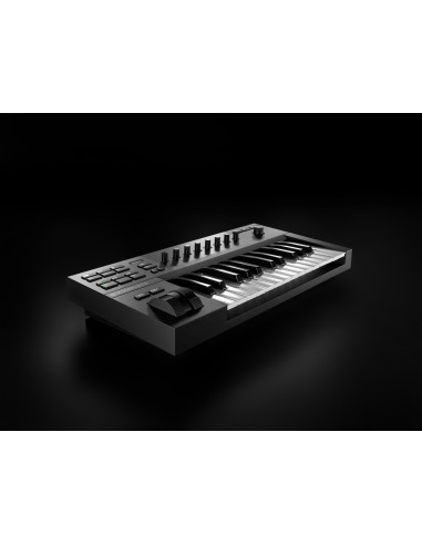 Komplete Kontrol A25