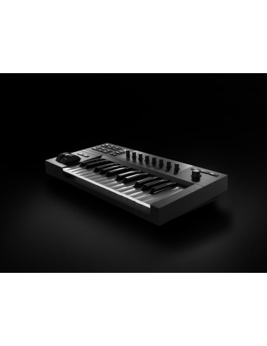 Komplete Kontrol A25