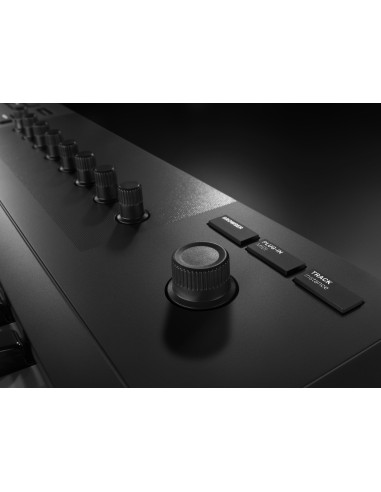 Komplete Kontrol A25