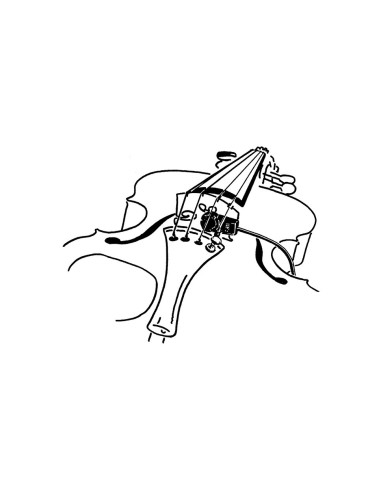 Akg - C411 - Terre de Son