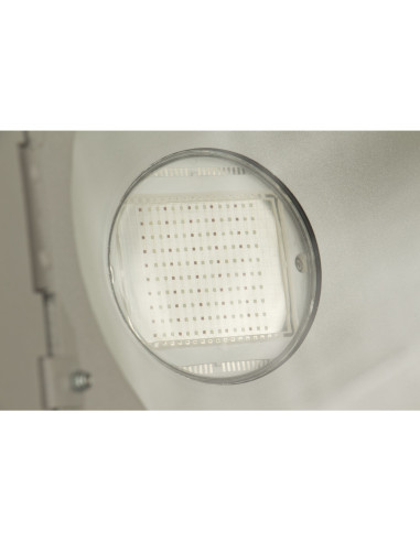 LDP COBWASH 150TC
