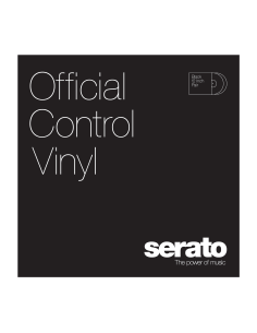 Serato Vinyle Noir 2