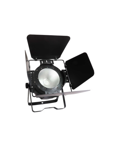 PAR COB UV 100W