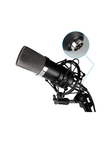 VIBE B1 BUNDLE XLR